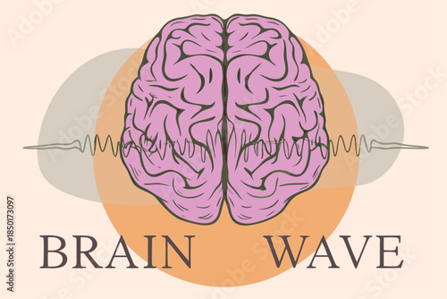 A medical vector illustration of the human brain anatomy and head scan highlighting the cerebral organ as a symbol of intelligence, neurology, and the science of the human mind