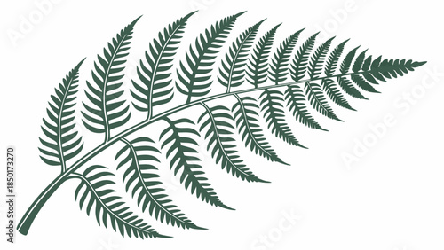 Silver Fern Frond Vector Illustration Botanical Graphic Design Element for Eco Friendly Branding and Wellness Packaging
