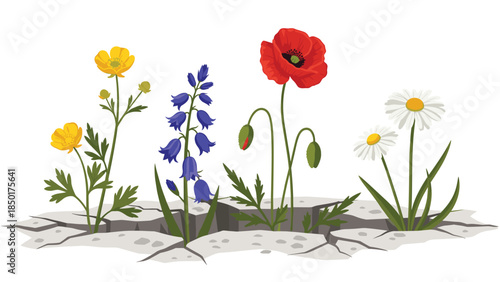 Wildflowers bloom through cracked earth, showcasing resilience and natural beauty in a vibrant, colorful display.