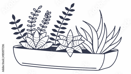 Minimalist Succulent Arrangement in Rectangular Planter for Home Decor Blog Design or Gardening Website Illustration