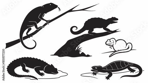 Diverse Reptile Silhouettes for Wildlife Education Design Scientific Illustration Ecology Project Graphic Element