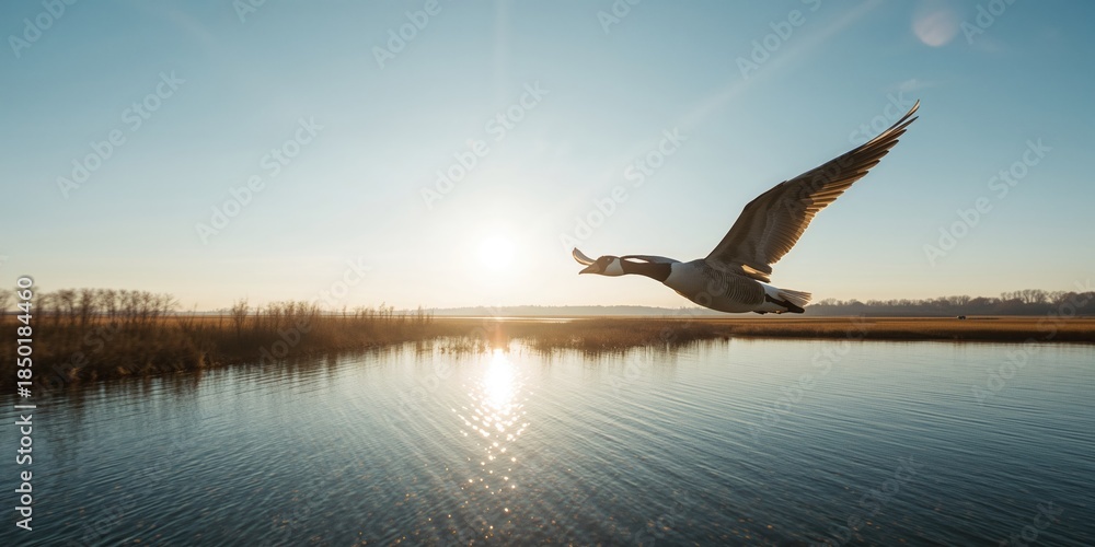 Naklejka premium Morning light illuminating a group of migrating geese over a lake, ideal for seasonal change documentation