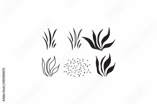 Grass design art vector silhouette image .
