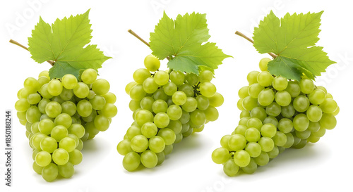 Three bunches of green grapes with leaves isolated on white background
