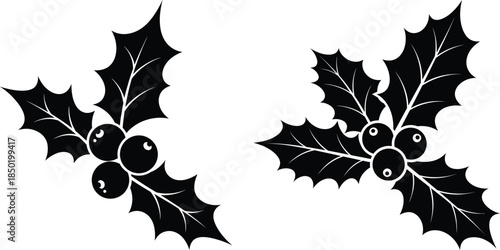 Classic silhouette holly sprigs with berries, perfect for winter holiday designs and crafts