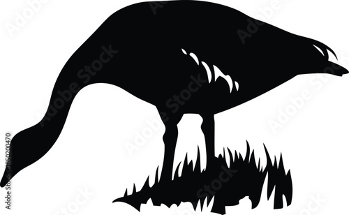 Graceful goose silhouette pecking for food in lush green grass on a quiet morning meadow