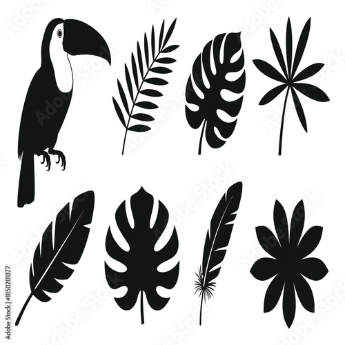 Collection of black and white tropical elements featuring a toucan bird and various exotic leaves and feathers in silhouette style