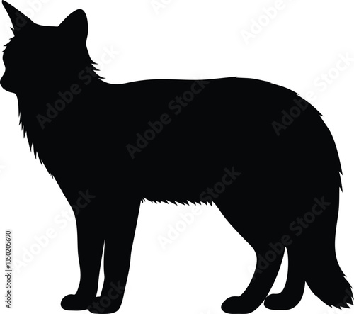 Fluffy Domestic Cat Silhouette Standing Composedly Showing Thick Fur and Distinctive Profile