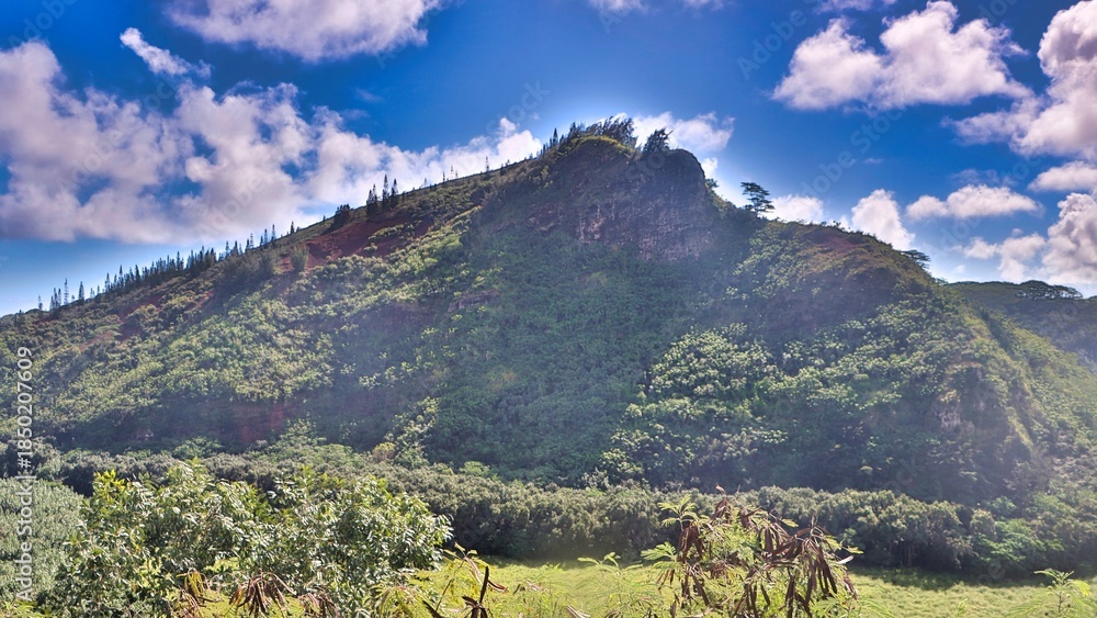 Fototapeta premium Nawiliwili, Hawai'i