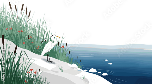 White Egret Bird Standing By Reeds And Water With Fish heron wading
