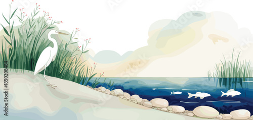 White egret standing by a tranquil lake with reeds and fish swimming bird white bird