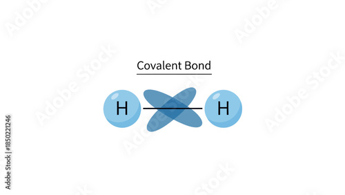 Covalent Bond Diagram