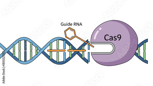 CRISPRCas9 mechanism editing DNA