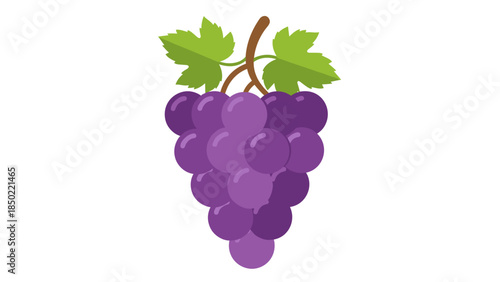 Purple Grapes with Green Leaves.