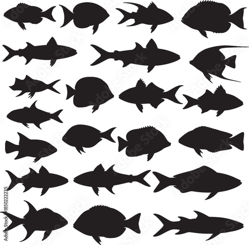 Assortment of diverse fish silhouettes representing various aquatic species and marine life for underwater and ocean themes also transparent background