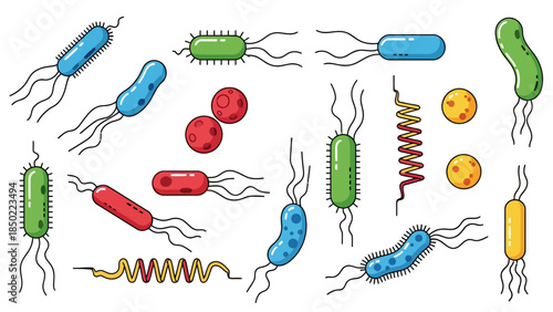 Diverse bacteria illustrations with flagella and varying shapes