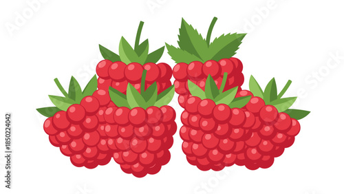 Three Raspberries with Green Leaves.