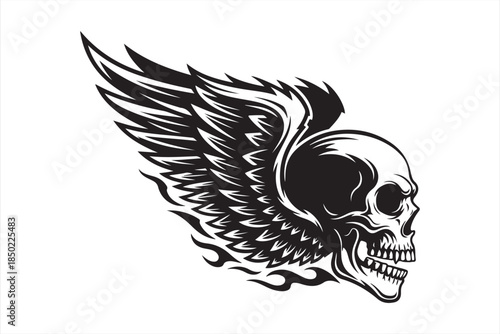 A striking black and white illustration of a winged skull with detailed feathers
