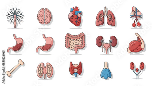 Human organs and body parts in a flat pixelated style
