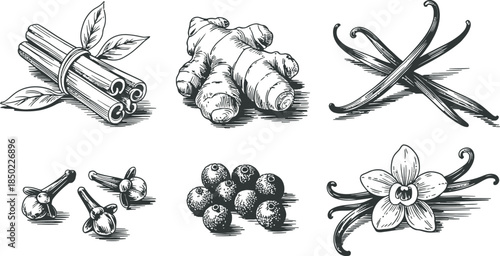 Woodcut Style Assorted Spices with Vanilla Bean and Flower