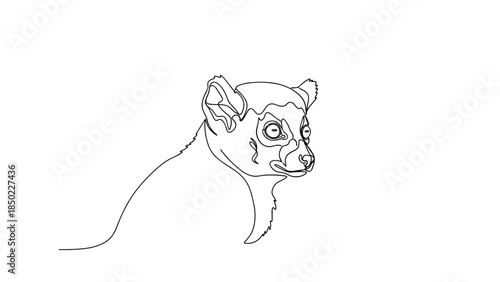 Outline sketch of a lemur head on white background  