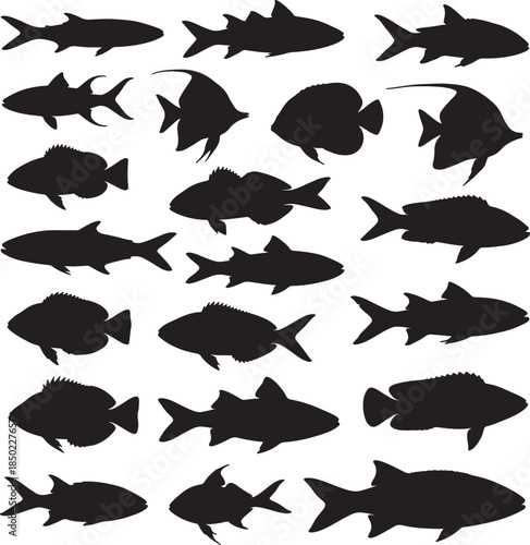 Diverse collection of fish silhouettes showcasing a variety of aquatic species with different fin shapes body structures and sizes swimming in a fluid motion against a also transparent background