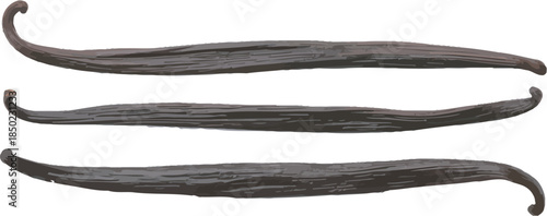 Vanilla Bean and Brown Spices on White Background, Isolated Illustration