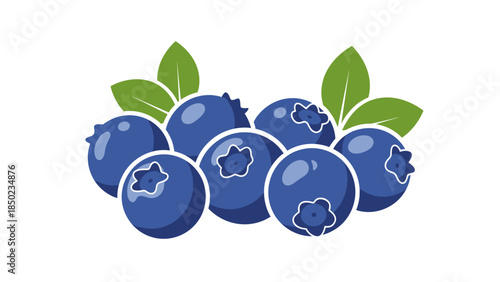 Blueberries with green leaves illustration.
