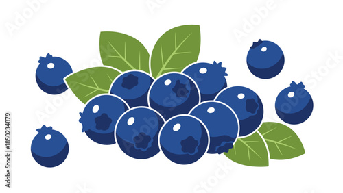 Blueberries with Green Leaves Illustration 1.