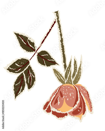 Hand drawn vector illustration of a frozen red rose flower with frosty texture and icy edges isolated on white background. The image represents winter romance, frozen beauty, fragility