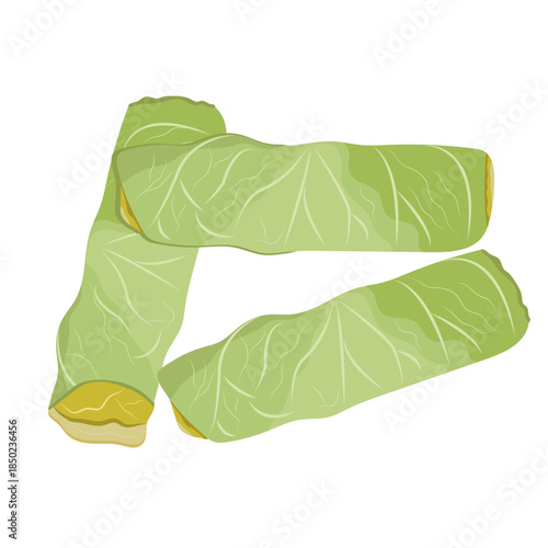 Stuffed Cabbage Rolls wrapped vector.