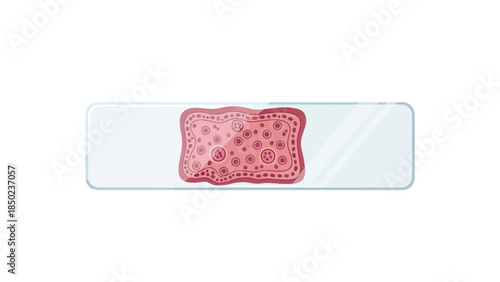 Microscopic view of a tissue sample on a slide