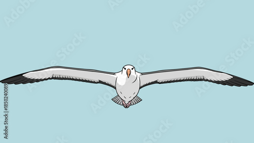 Seagull flying against a light blue sky