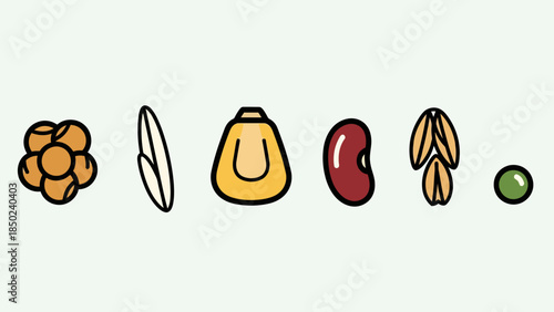 Six different seed or grain illustrations in a row on a white background