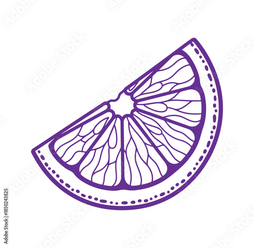 Simple purple slice of citrus fruit vector illustration on white background isolated design