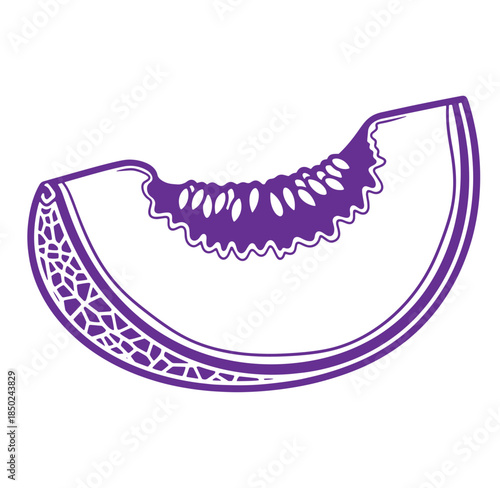 Simple purple vector illustration of a cantaloupe melon slice for various design purposes