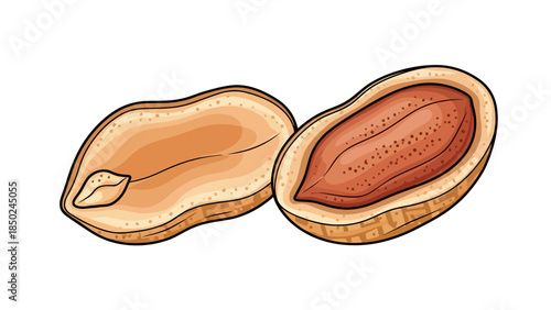 Two peanuts one whole one split showing the kernel inside