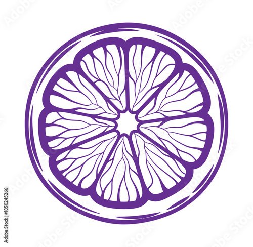 Stylized purple citrus slice vector illustration isolated on white background for design