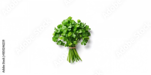 Fresh coriander herb isolat...