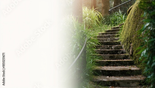 Moss-covered stone stairs w...