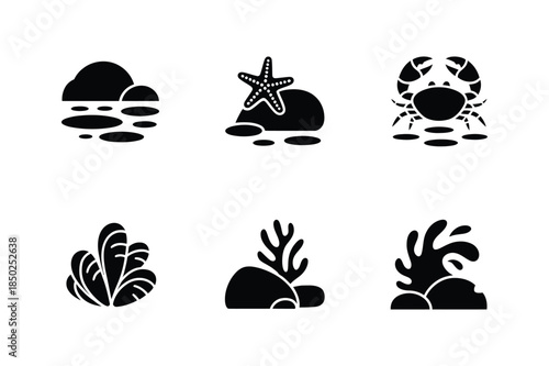 Ocean and marine life icons including crab, starfish, coral, and seaweed