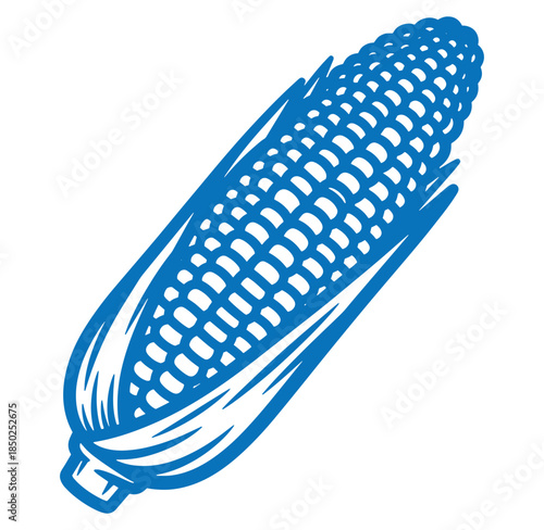 Blue outlined illustration of a fresh corn on the cob perfect for food and farm themes