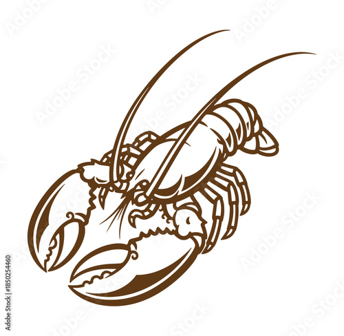 Detailed brown illustration of a lobster in a retro style for seafood designs