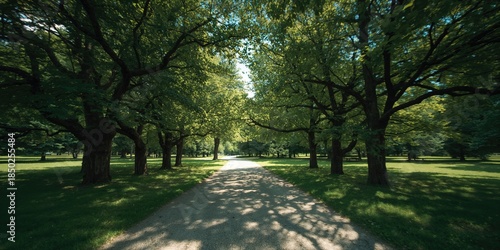 Fototapeta Naklejka Na Ścianę i Meble -  Summer park landscape featuring trees and dappled sunlight, designed as a natural background, summer, Earth Day