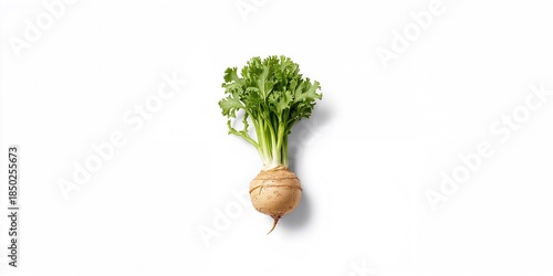 Celery root laid flat on a ...
