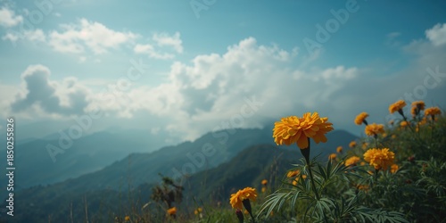 Scenic mountain view with b...
