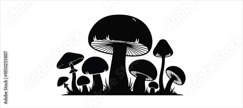 set of medicinal mushroom vector bundle pack collection. Mushroom icon design element, vector illustration. Editable vector collections.  Mushrooms silhouettes set isolated flat vector illustration. 