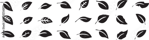 Set of green leaf ecology icon, leaf isolated on transparent background. Environment and Nature Symbol, Vector illustration