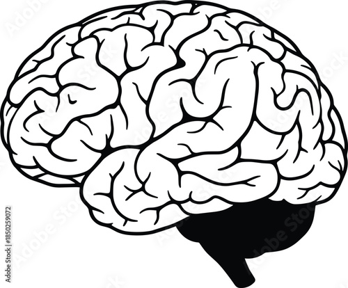 Human brain anatomy illustration silhouette CAD drawing flat vector for medical science education psychology neurology icon stock