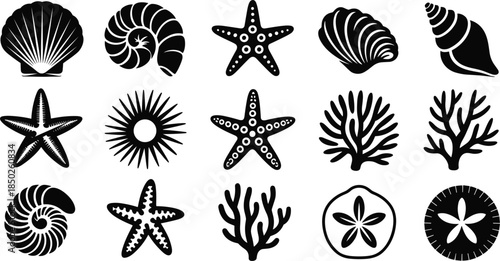 Assortment of Black Silhouettes of Seashells Starfish and Coral on White Keywords: seashell, starfish, coral, nautilus, sand